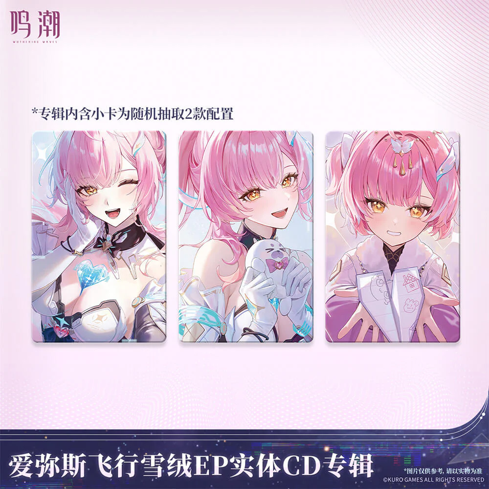 【 Pre order 】Aemeath Fleet Snowfluff Album - Image 2